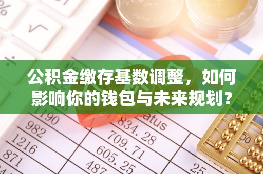 南部公积金缴存基数调整，如何影响你的钱包与未来规划？