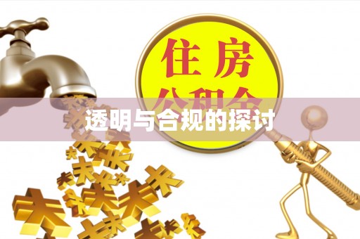 南部透明与合规的探讨