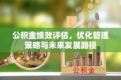 南部公积金绩效评估，优化管理策略与未来发展路径