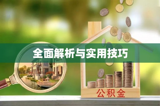 南部全面解析与实用技巧
