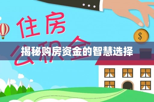 南部揭秘购房资金的智慧选择
