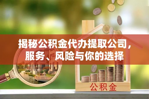 南部揭秘公积金代办提取公司，服务、风险与你的选择