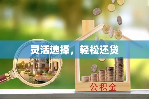 南部灵活选择，轻松还贷