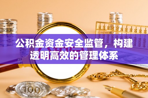 南部公积金资金安全监管，构建透明高效的管理体系
