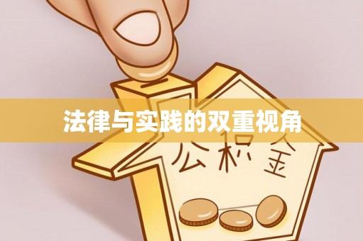 南部法律与实践的双重视角