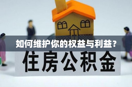 南部如何维护你的权益与利益？