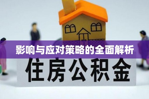 南部影响与应对策略的全面解析