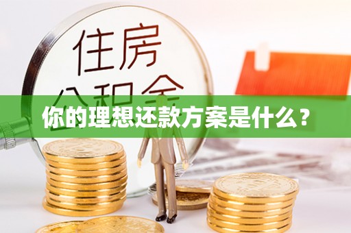 南部你的理想还款方案是什么？