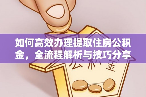 南部如何高效办理提取住房公积金，全流程解析与技巧分享
